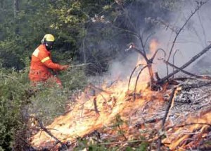 boschivi-incendi