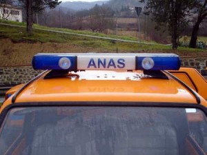 anas-2