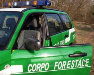 corpo-forestale2-576x462