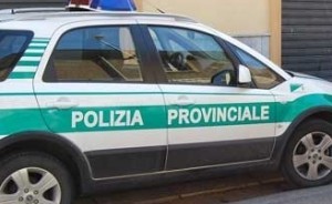 polizia-provinciale-cosenza