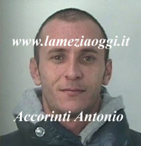 accorinti-antonio