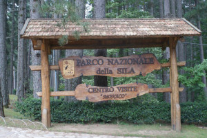 parco-nazionale-sila