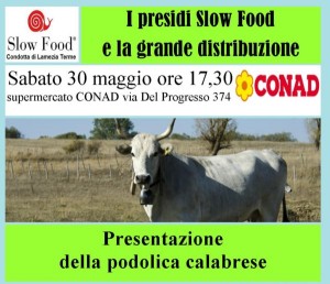podolica calabrese slow food