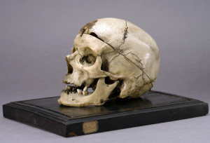 Cranio-brigante-Villella