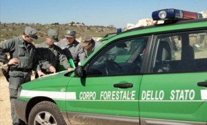 corpoforestale2307