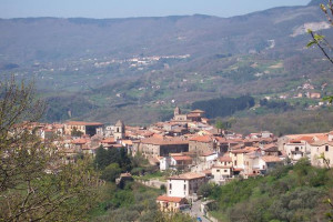 rogliano-panorama