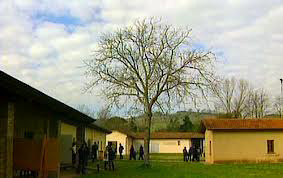 ferramonti-tarsia-cimitero