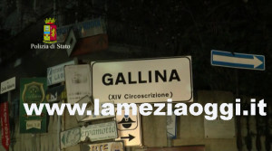 controlli-gallina-10