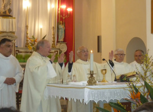 platania-sacerdoti