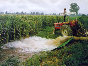 Irrigazione-terreni