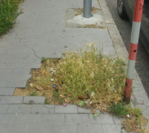 catanzaro-degrado1