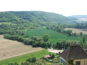 bosco-gerrmania