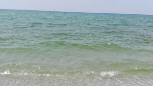 costa-pizzo2