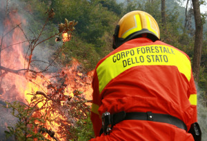 corpo-forestale-incendio