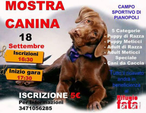 mostra-canina-pianopoli