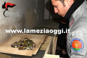 antibracconaggiocc1