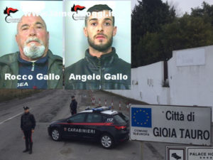 arresti-gallo