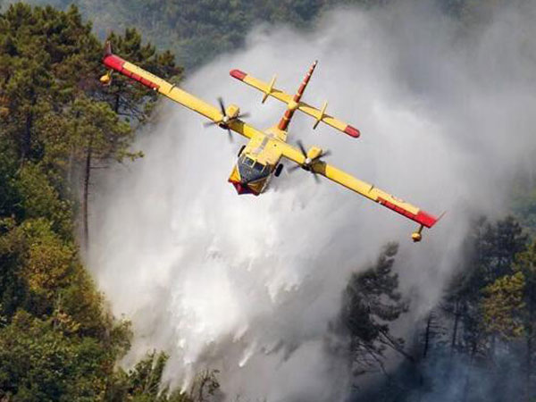 Incendi: fiamme minacciano case nel Cosentino, aereo in azione