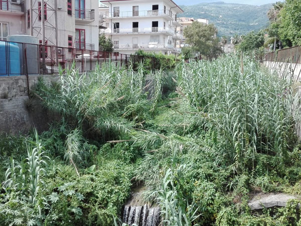Lamezia, Raso: "Affidati lavori pulizia fiumi Cantagalli e Bagni"