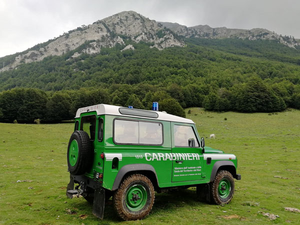 Disperso all’interno del parco nazionale d’Aspromonte: ritrovato dai carabinieri forestali