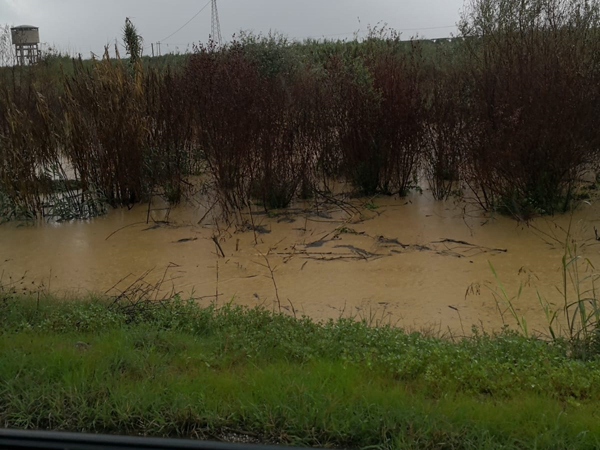 Lamezia, consiglieri centrodestra: "Richiesta urgente di pulizia corsi d’acqua cittadini"