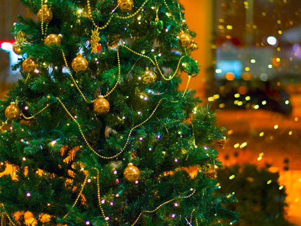 Lamezia: cerimonia di Accensione albero di Natale