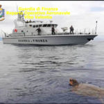 Ambiente: Gdf soccorre tartaruga in difficoltà in mare