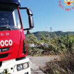 Incendi: rogo vicino uffici Regione Calabria a Catanzaro