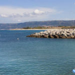 Tartaruga soccorsa in giugno rimessa in mare a Crotone
