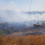 Incendi: bosco in fiamme da ore nella Presila cosentina