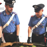 Armi: controlli e blitz nella Locride, nuovi sequestri