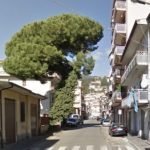 Ordinanza abbattimento albero a Lamezia: Francesco De Pino “un albero secolare non si uccide”