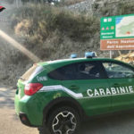 Cacciavano illegalmente esemplari di ghiro, i carabinieri forestali deferiscono due soggetti all’autorità giudiziaria