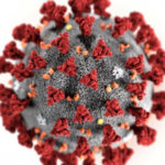 Coronavirus: indici R0 Regioni, in Calabria è 0,80
