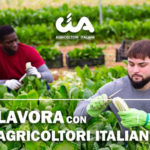 Cia Calabria: al via piattaforma online per lavorare in agricoltura