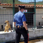 Sant’Ilario dello Jonio: i carabinieri sequestrano un canile irregolare