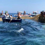 Tonno rosso: cresce quota riservata ai pescatori calabresi