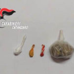 Droga: perquisizione dei Carabinieri a Maida, Un arresto