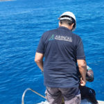 Ambiente: Arpacal, un nuovo Rov scandaglierà i fondali marini
