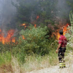 Incendi:oltre 40 nel weekend in provincia di Cosenza