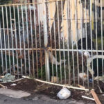 Catanzaro, Consolante: “richiesta bonifica area ex scuola Mazzini”