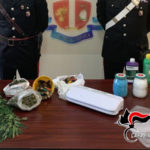 Gioiosa Jonica: l’odore di marijuana attira i Carabinieri