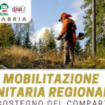 Mobilitazione unitaria regionale a sostegno del comparto idraulico-forestale