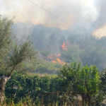 Incendio a Reggio, in azione task force guidata da Calabria Verde