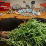 Scoperte piante di marijuana e oltre 5 mila euro nascosti in campagna, un arresto