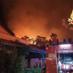 Incendio nella notte nel Vibonese, in fiamme oltre 30 ettari di macchia mediterranea