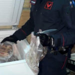 Tre arresti per produzione di stupefacenti e cattura di animali di specie protetta