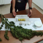 Petronà: 49enne coltiva marijuana in casa, denunciato dai Carabinieri
