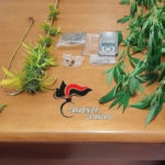 Tiriolo: arresto per detenzione di marijuana,droga occultata all'interno della spazzatura
