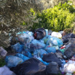 Casapound Lamezia, denuncia la presenza di rifiuti presso l’area mercatale “Pino Cosentino”